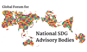 national sdg advisory bodies