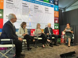 national sdg advisory bodies